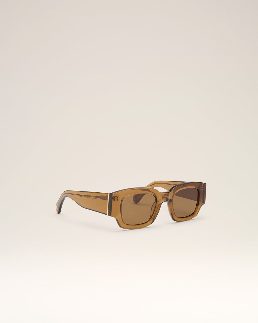 Brown Acetate 75001 Sunglasses